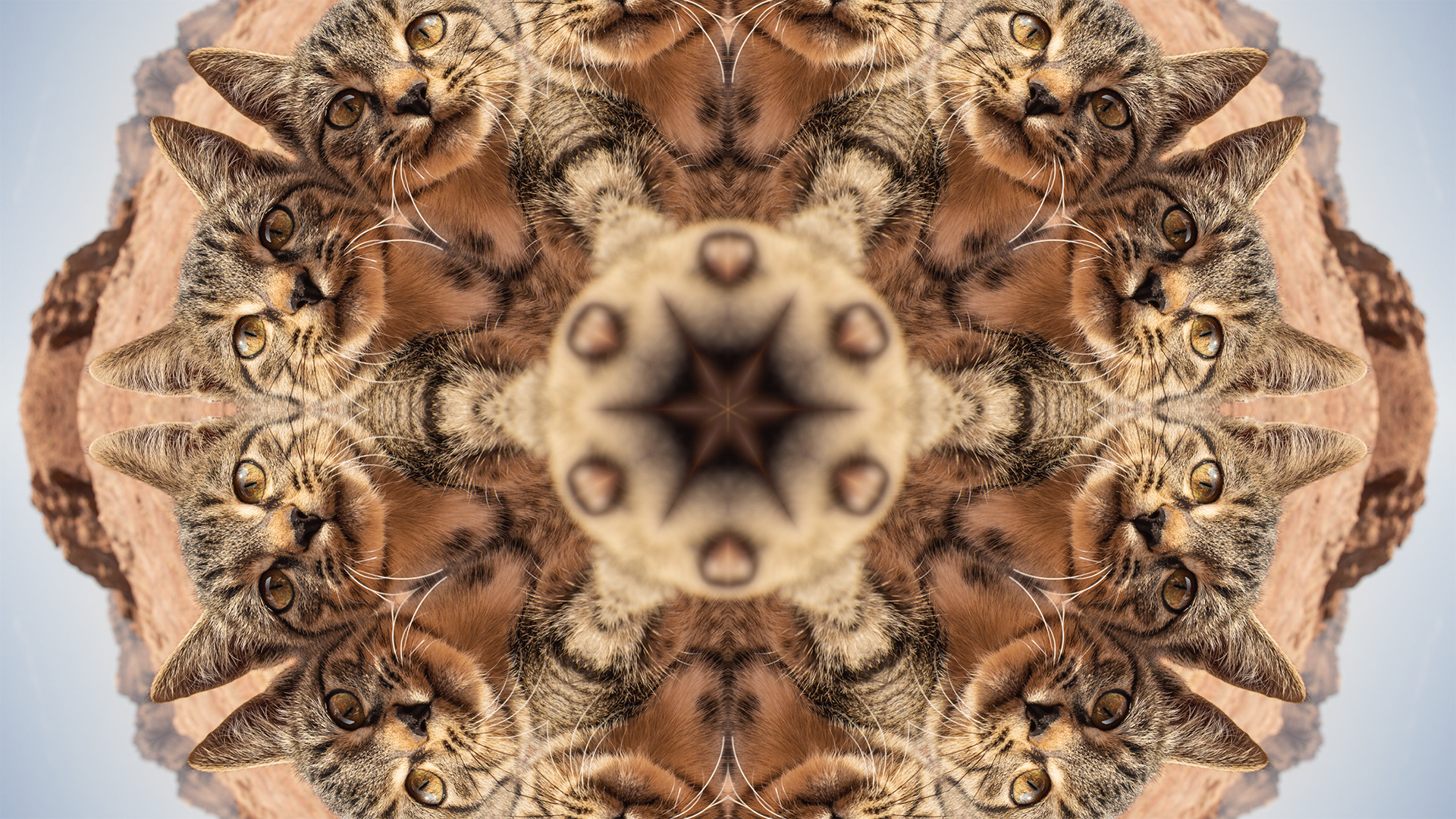 Kaleidoscope effect with 12 segments