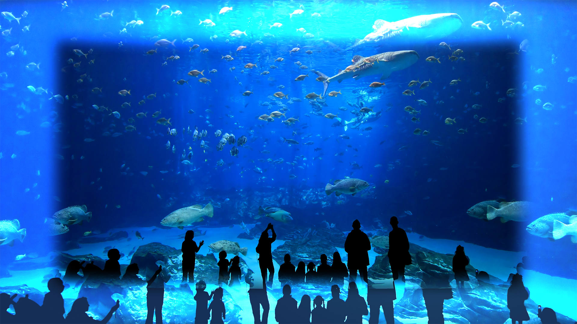 Example in Layout designer Example in Layout designer