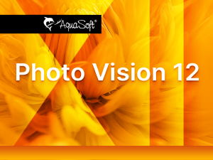 Splash_PhotoVision_12