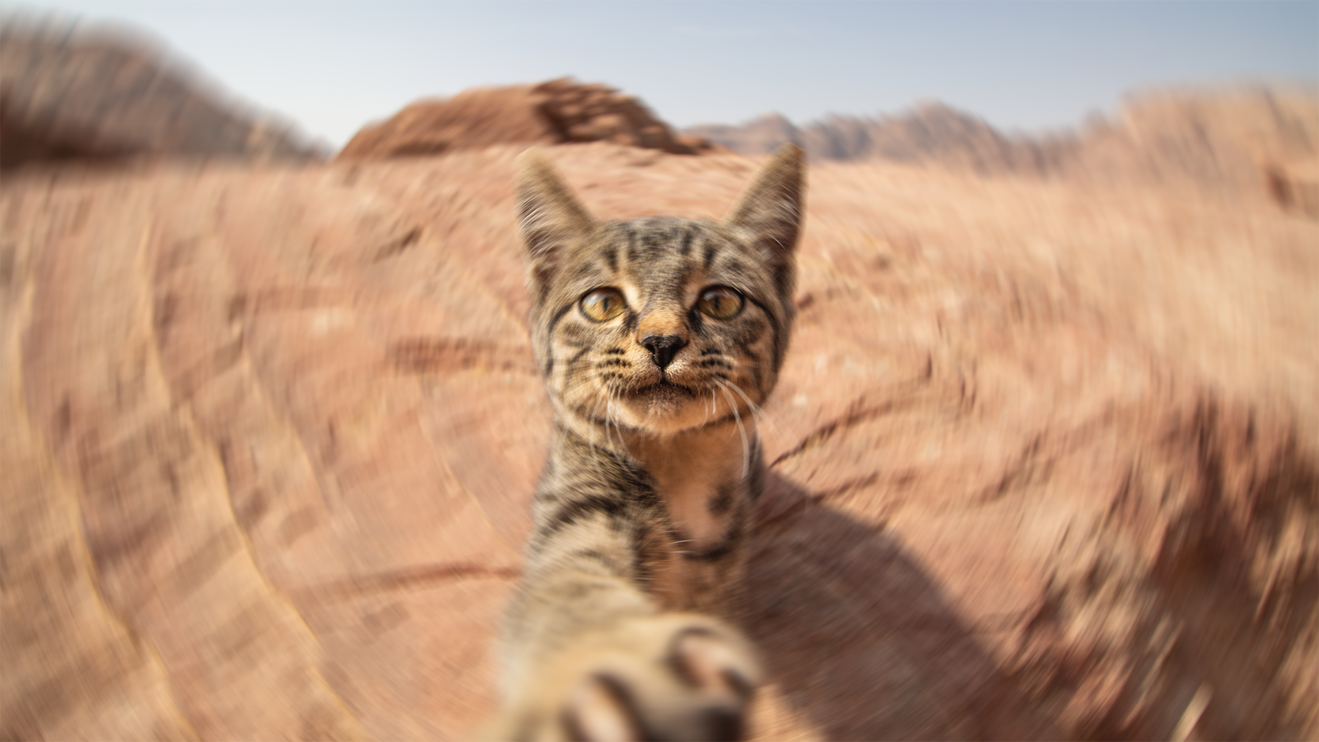 Motion blur effect